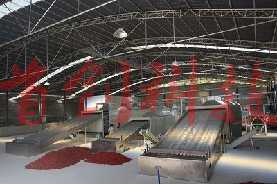 1498888762708303.jpg 862264237178447813.jpg