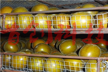 1505889119259223.jpg DSC02119.jpg