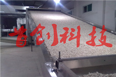 1509430393174407.jpg 20131013151.jpg