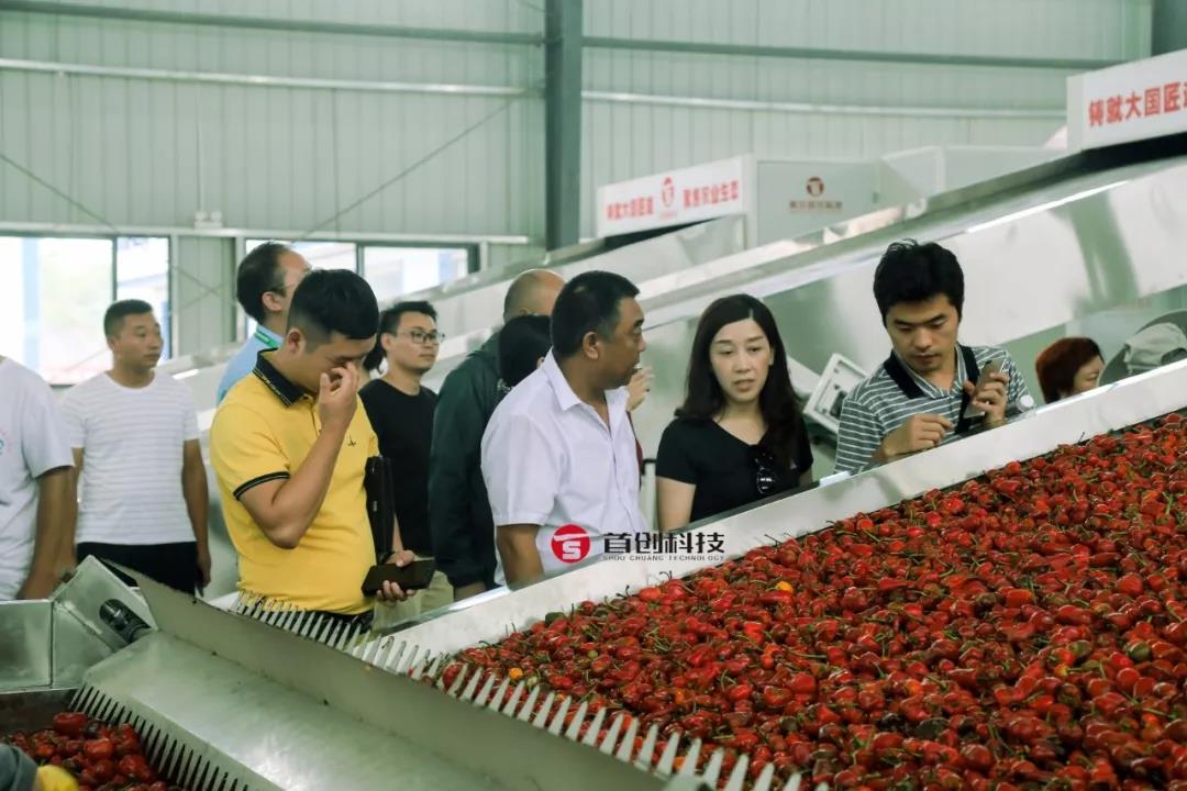 1566625051772884.jpg 微信图片_20190824133440.jpg