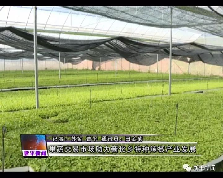 1625539278629702.jpeg f2bc2b858f68474fbabfdd7d1782b338.jpeg