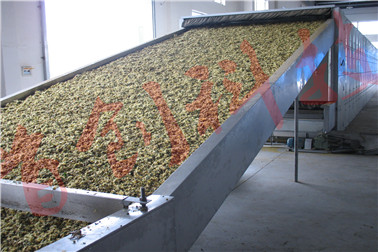 菊花烘干机.jpg