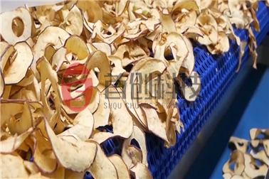 1636095662112499.png 苹果片.png