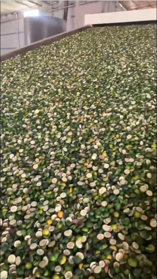 枳壳烘干设备.jpg 枳壳烘干设备.jpg