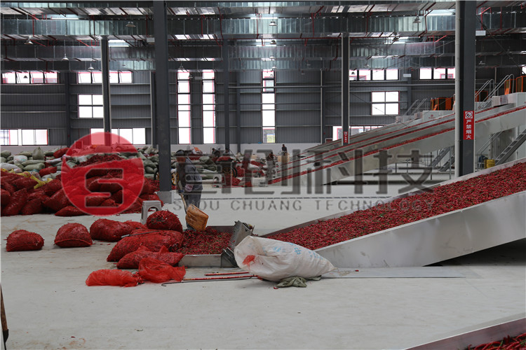工业辣椒加工生产线.jpg