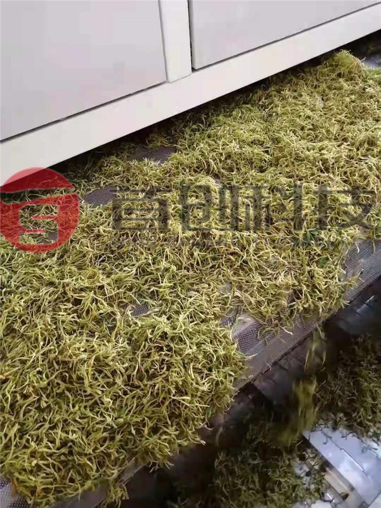 网带式金银花烘干机.jpg