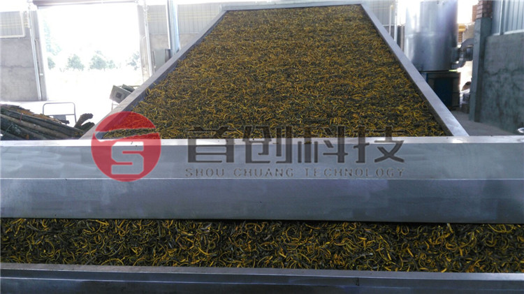 网带式连翘烘干机.jpg