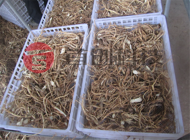 食用菌烘干机价格.png 食用菌烘干机价格.png