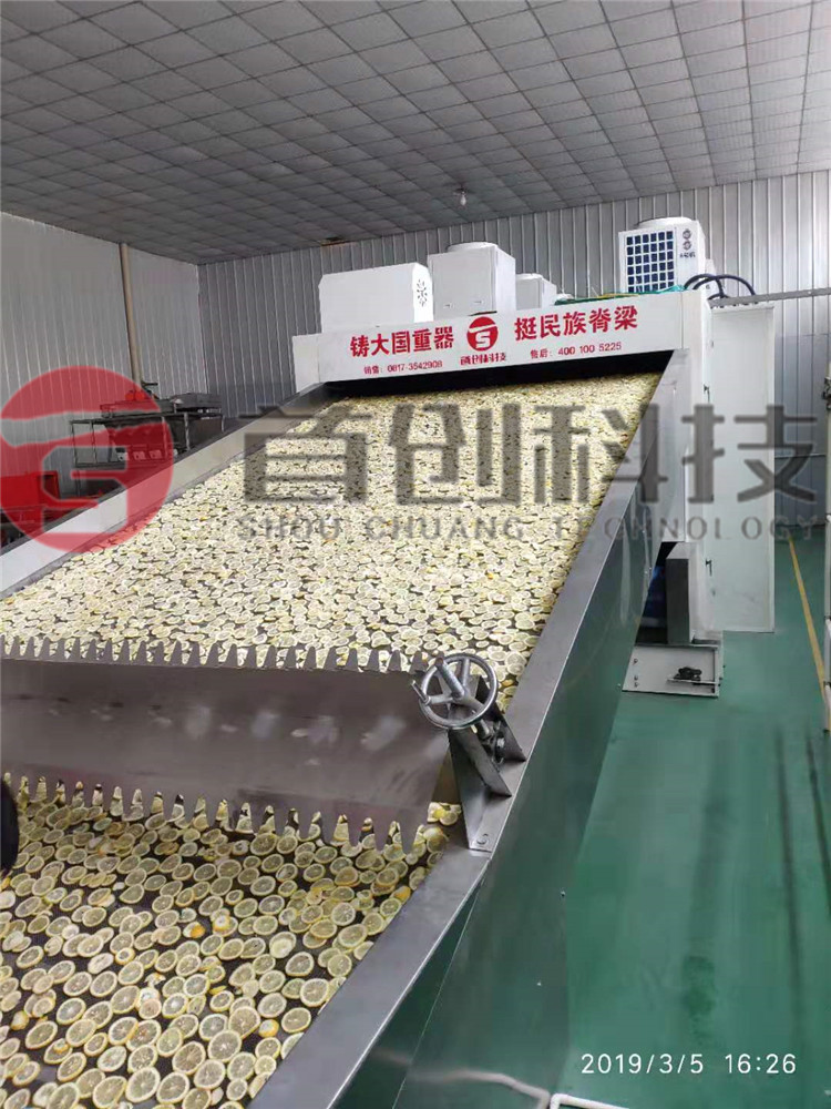网带柠檬片加工设备.jpg 网带柠檬片加工设备.jpg