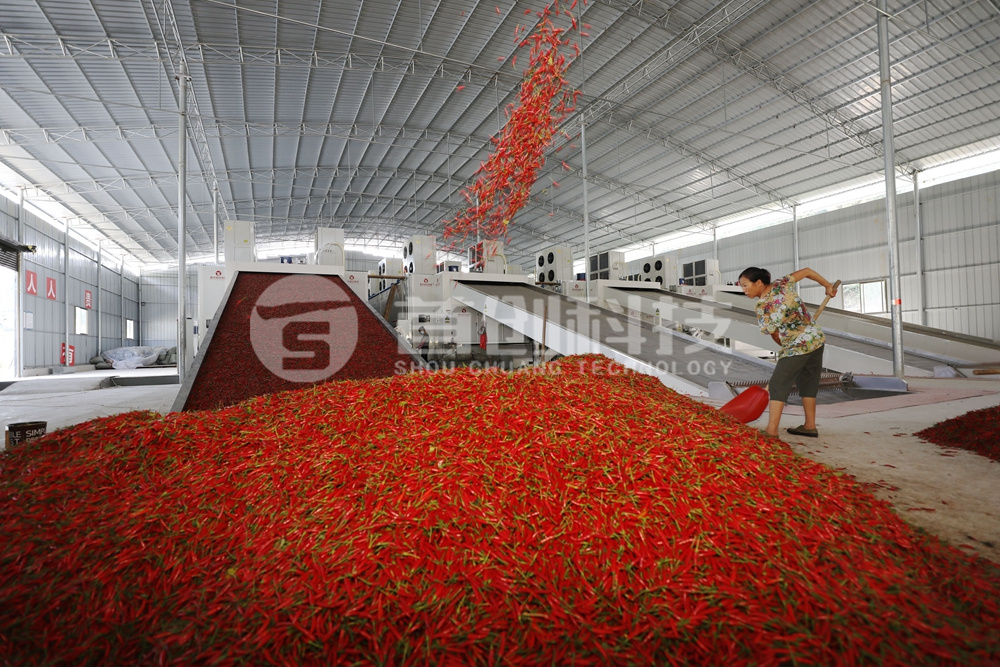 一台网带式辣椒烘干设备多少钱?.jpg 一台网带式辣椒烘干设备多少钱?.jpg