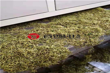 1681979297253555.jpg 金银花出料_副本1.jpg