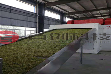 金银花 (2)_副本.jpg