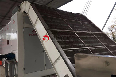 茶籽烘干机多少钱 茶籽烘干机多少钱