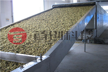 1687334572972743.jpg 菊花烘干.jpg