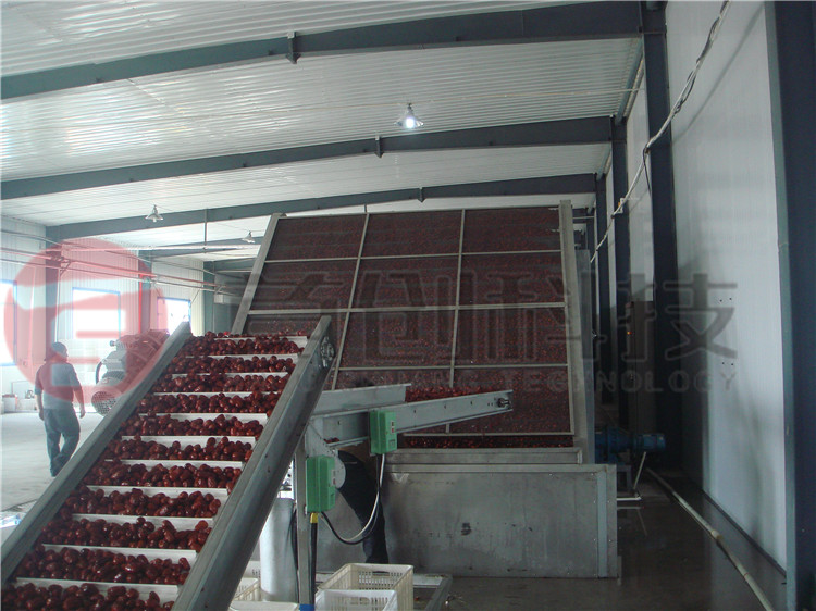 大型葡萄干烘干设备.jpg