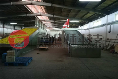 野菊花烘干机厂家