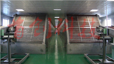 红枣烘干设备 红枣烘干设备