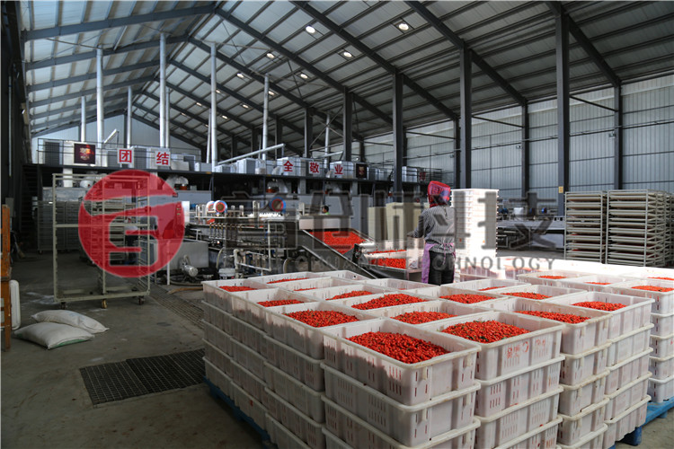 枸杞专业烘干机.jpg 枸杞专业烘干机.jpg