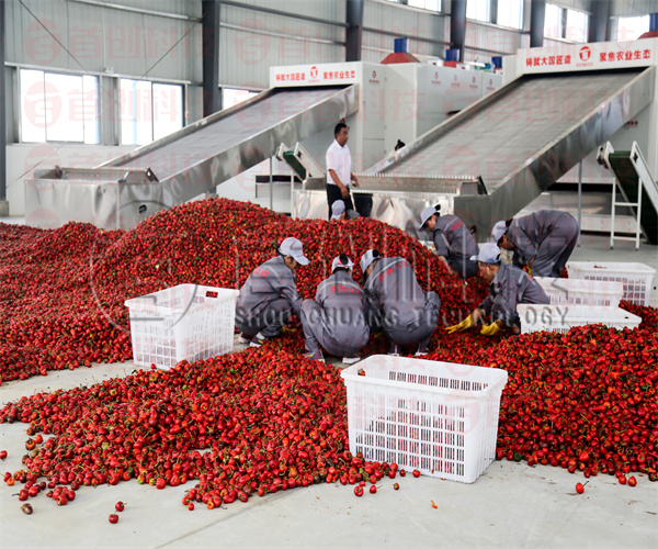 四川动态鲜椒干燥设备厂家.jpg
