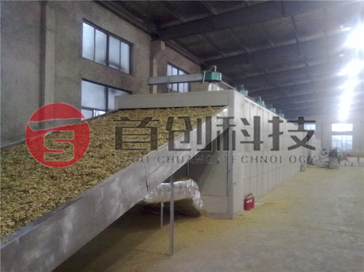 网带式菊花干燥设备.jpg 网带式菊花干燥设备.jpg