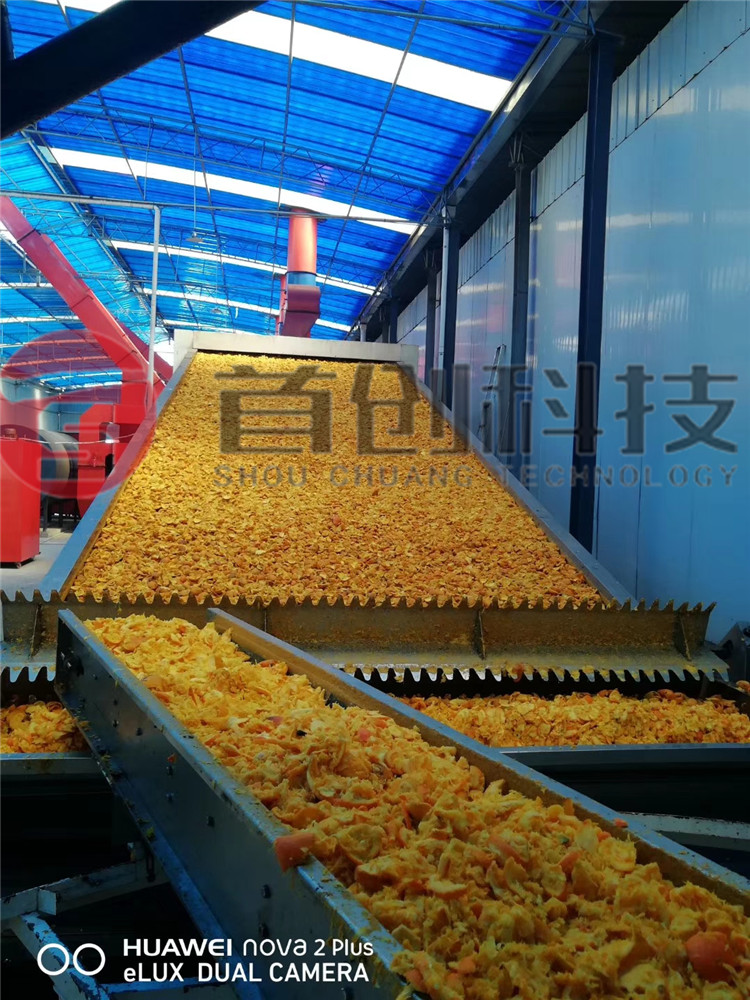 橘皮自动带式干燥机.jpg