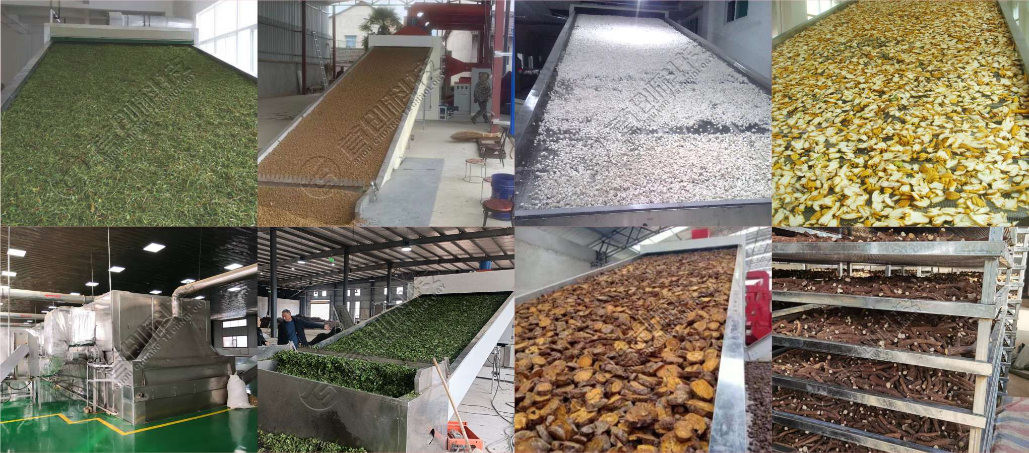 1744355727412847.jpg 2.jpg