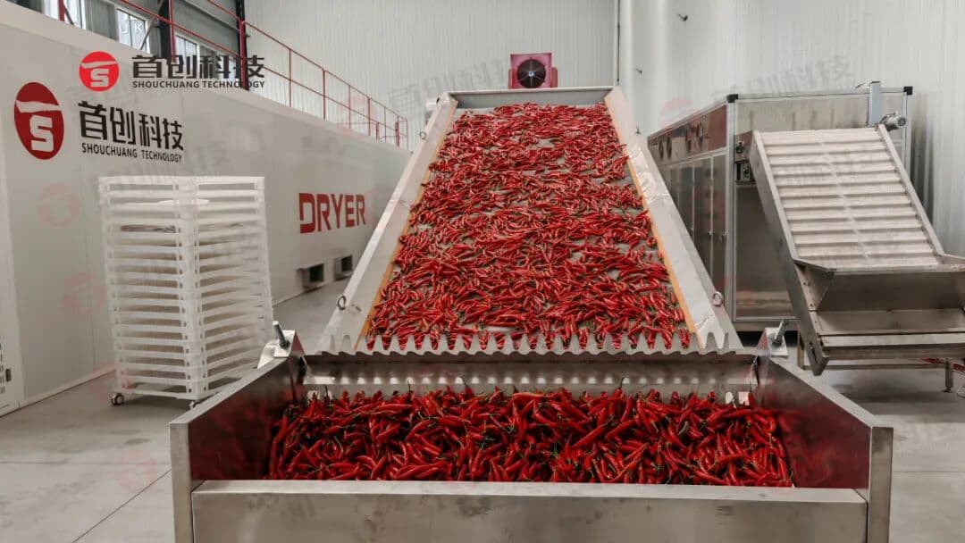 1762309224804581.jpg 640 (6).jpg