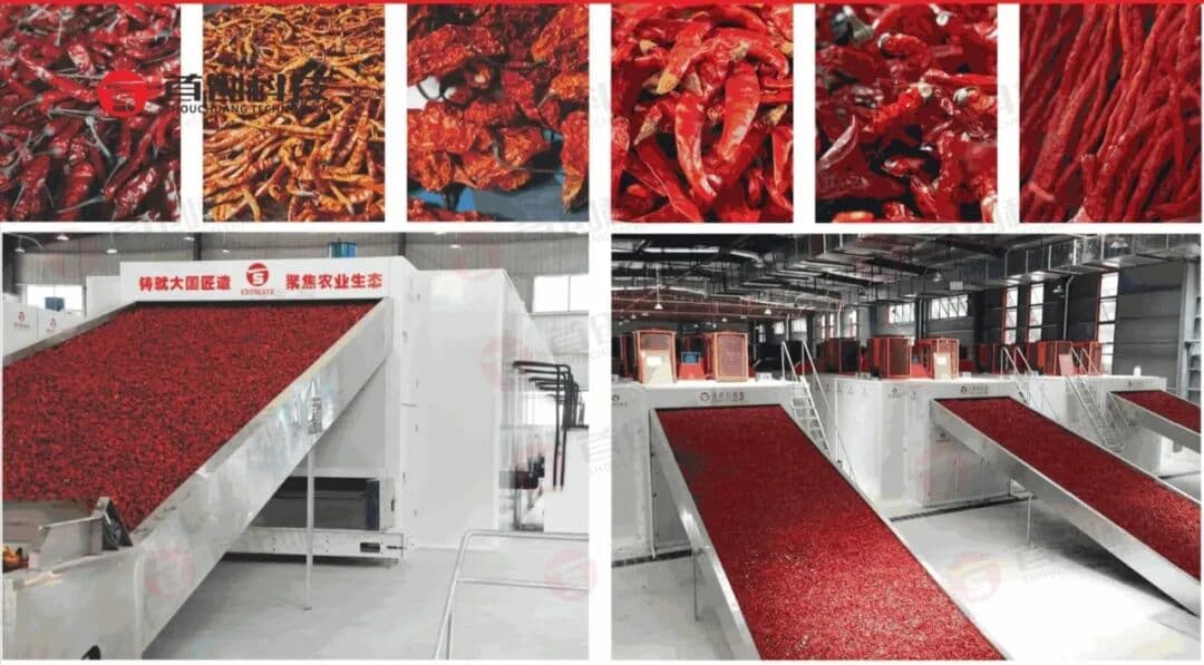 1762309744619424.jpg 640.jpg