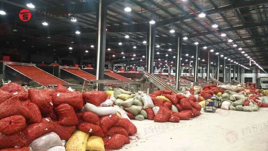 1762309817885479.jpg 640 (1).jpg