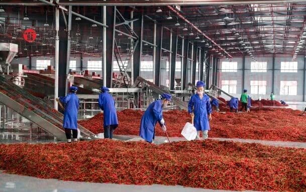 1762309845548732.jpg 640 (2).jpg